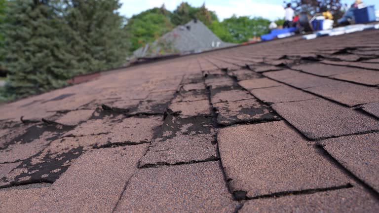 Best Green or Eco-Friendly Roofing Solutions  in Grundy Center, IA